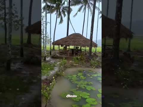 new nature status video Sushmita edit 😎😎😎