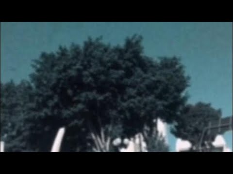 SV57 - Lean (feat. Tiago Tralli, Divino)