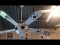 Fanimation Museum 2022