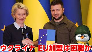 【ペンギン閣下】ウクライナのEU、NATO入りはあるのか？【国際情勢】