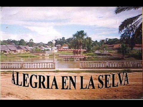 ALEGRIA EN LA SELVA