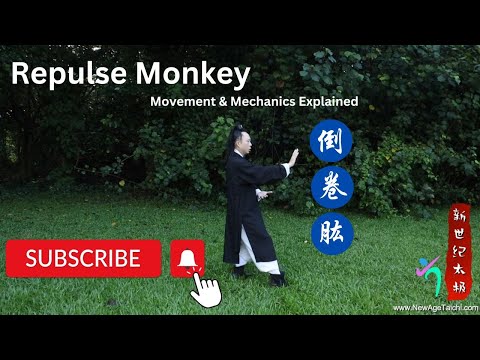 倒卷肱动作讲解 Tai Chi Repulse Monkey movement explained