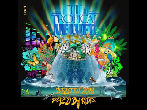 Best of 2018 Din Jay-When the sun goes down (KORT's Electric Blue Remix) TVJM/TVCMM