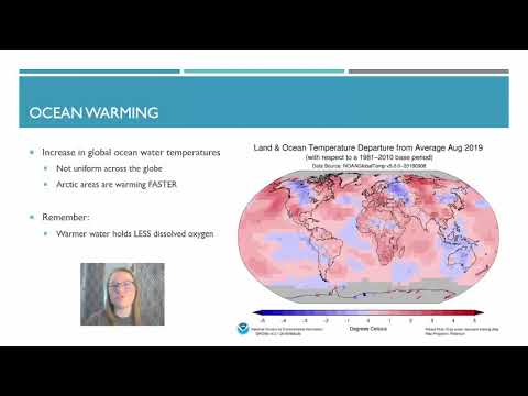 AP Env Sci Topic 9.6 Ocean Warming