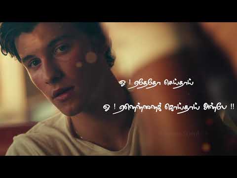 Call Me Senorita - Tamil Version | Shawn Mendes | Camilla Cabello