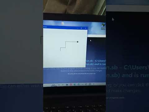 Small Basic Turtle