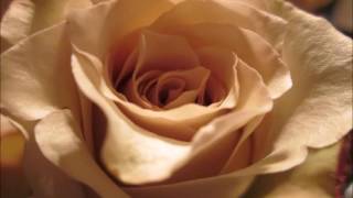 CHRISETTE MICHELE ○ SO IN LOVE