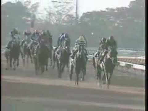 1989 Japan Cup Horlicks