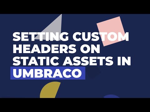 Setting CORS & Cache Headers on Static Assets in Umbraco