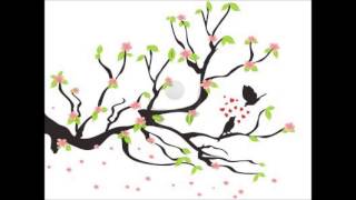 Druid - Funky Lovin'