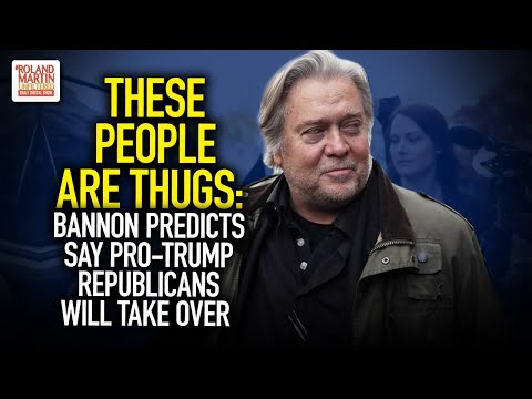 These People Are Thugs: Steve Bannon & His Ilk Want To Take Over School Boards, RNC & ALL Elections