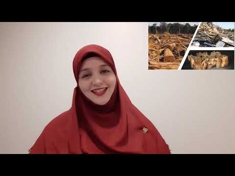 2020 Virtual AUT 3MT Competition Doctoral Finals - Negin Ahmadi Saber Doust