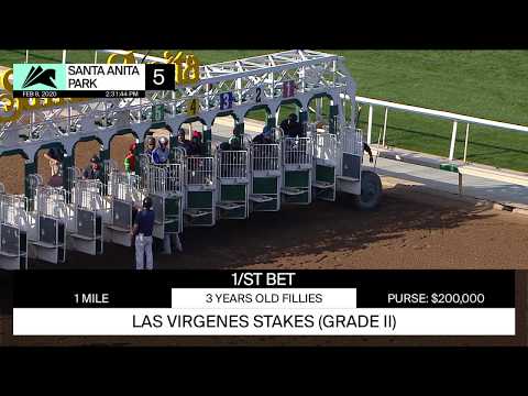 Las Virgenes Stakes ( Grade II ) February 8, 2020
