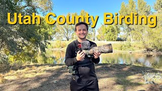 Back Birding in My Home State