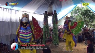 Download lagu GOYANG HEBOH AKSI RATU AYU YG BIKIN GREGETAN Burok MJM Live HALIMPU 27-03-2022 mp3 Download lagu GOYANG HEBOH AKSI RATU AYU YG BIKIN GREGETAN Burok MJM Live HALIMPU 27-03-2022 mp3