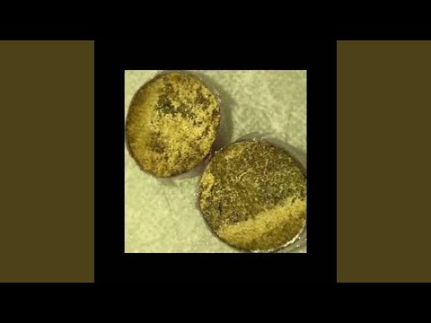 makers (feat. jowwi lee)