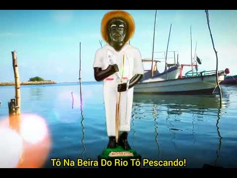 Capa do vídeo: Tô na beira do rio tô pescando
