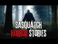 7 Scary Sasquatch Horror Stories