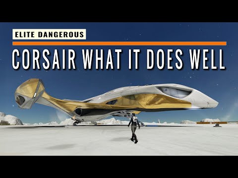 Elite Dangerous: TESTED - Gutamayas “Multirole” Pirate Cruiser