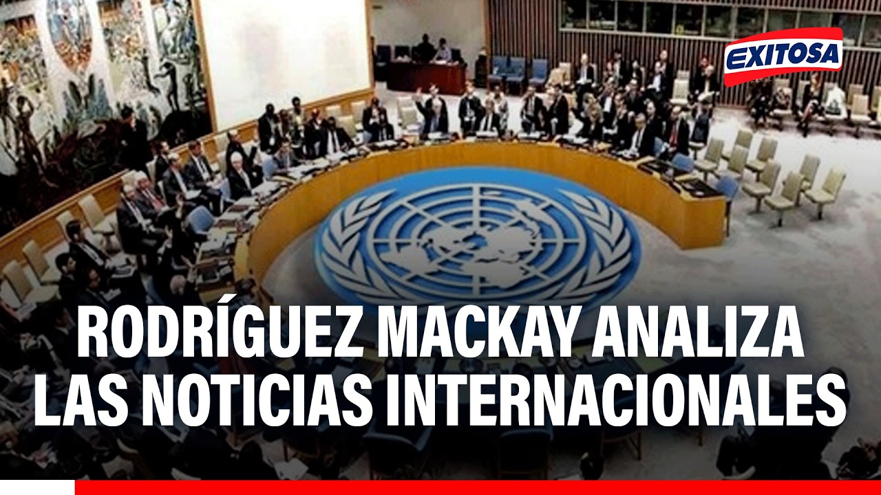 🔴🔵 Rodríguez Mackay destaca el papel del Consejo de Seguridad de la ONU