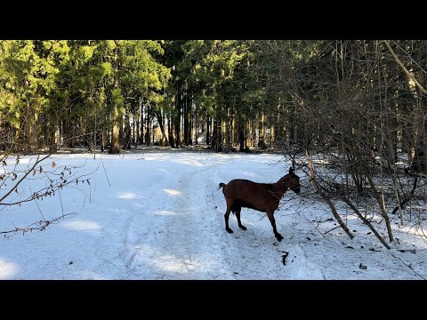 Трагедия в Сибири коснется всех