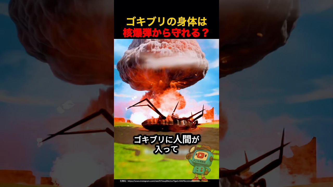 ゴキブリの身体は核爆弾から守れる？🧐