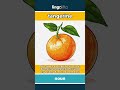 tangerine (noun) - definition and usage in English