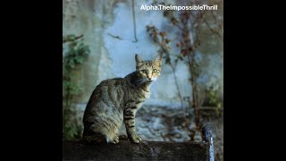 ALPHA – THE IMPOSSIBLE THRILL (2001) | 3. Dim [with Martin Barnard]