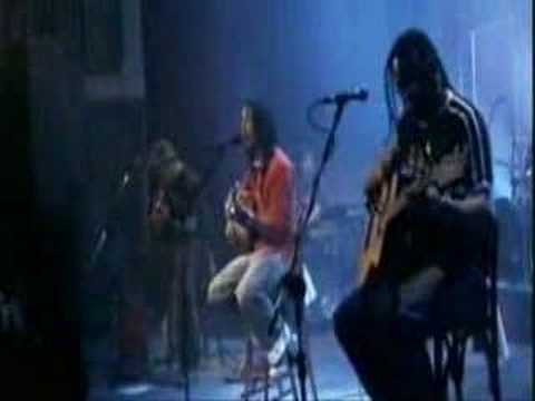 Lua Cheia - Papas da Língua