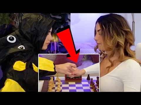 Best Chess Handshake Of The Year