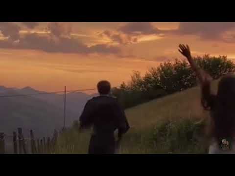 Falling in love on a warm summer morning while watching the sunrise  Playlist