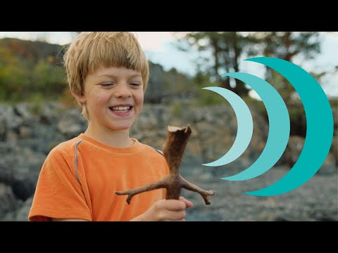 afbeelding Knoester & het Zeemonster trailer