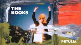 The Kooks - Petulia (Audio Only)