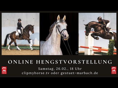Online-Hengstvorstellung Marbacher Landbeschäler 2022