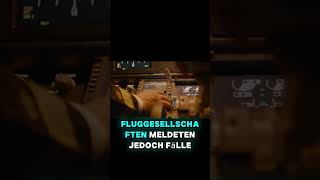 Was steckt hinter den FAA-Sicherheitsanweisungen?
