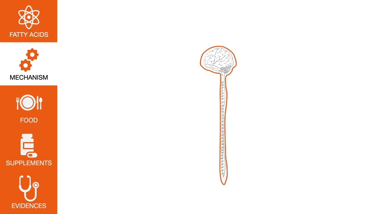 Nutrients and MS - Fatty acids