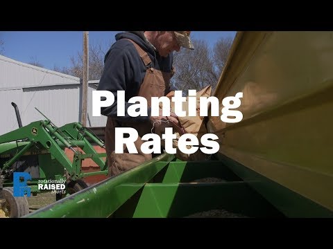 Small Grains Planting Rates