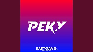 Download lagu Sound JJ Party Peky RMX mp3