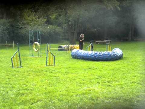 Nicoletta & Neroušek - agility tým Jirkov