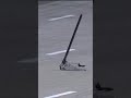THE JACK IS ESCAPING! ?? | #shorts | NASCAR