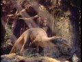 Really Wild Animals Dinosaurs And Other Creature Features