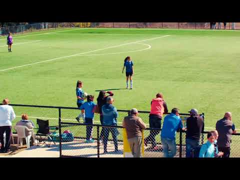 U15   PS4 NPL 2 NSW WOMAN'S PRELIMINARY FINAL 2017