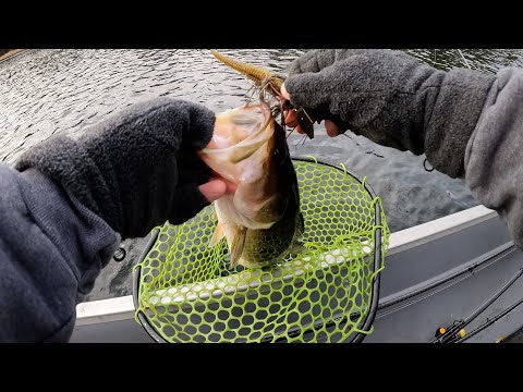 THIS was the Only Bait that Could Trigger COLD bass!