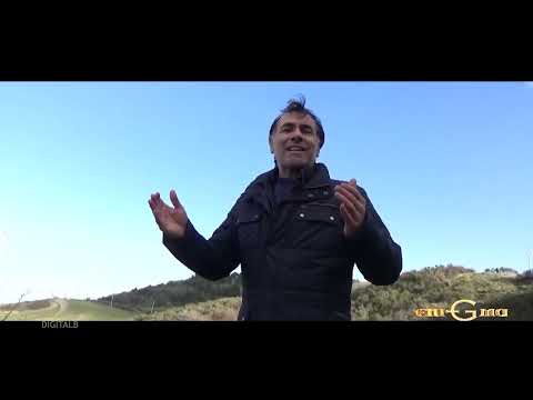 Enigma - Kush ishte Zeusi , Alieni qe jetoj mes nesh