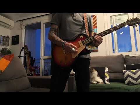 Bromélias - Bide ou Balde