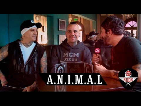 Animal (A.N.I.M.A.L.) video Vivo en Red House - Entrevista CM 2016