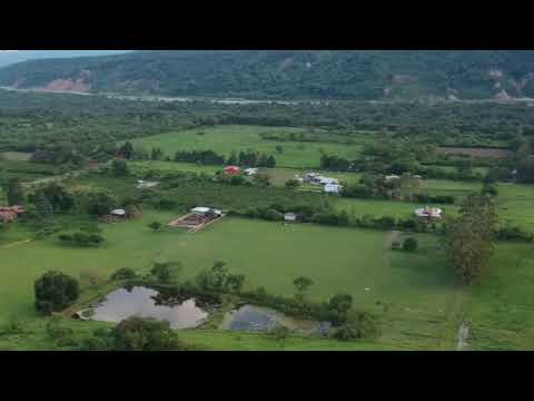 Canal 2 Perico - Programa y Noticias