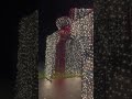Salem Riverfront Park Holiday lights. #oregonchristmas #oregontravel #salemoregon #familytravelvlog