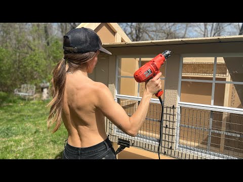 The Problem with Almost Every Chicken Coop and What I Did to Fix It