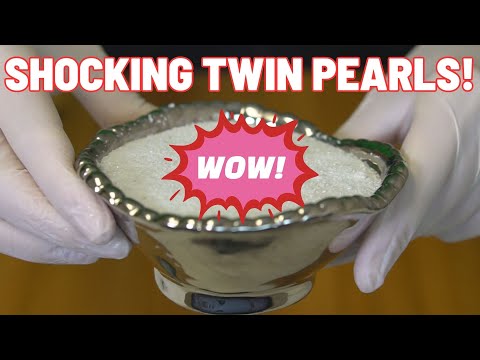 WOW Twin Edison Pearls! Gorgeous Color! (Reveals 16979 - 17002)